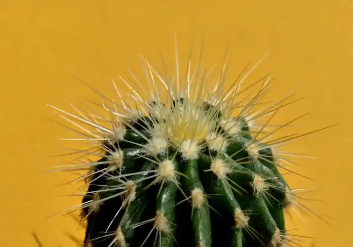 摄影景深的要素浅析