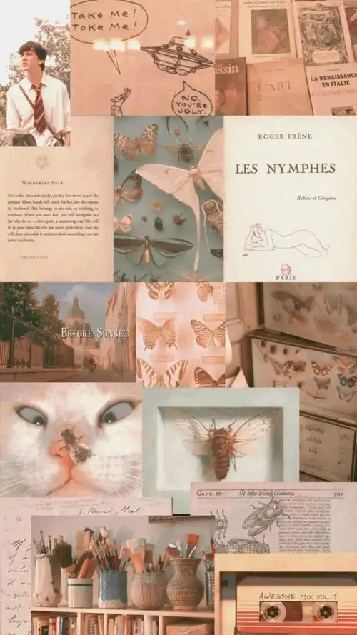 ins风欧美壁纸图