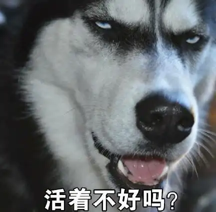 二哈搞笑qq表情二哈搞笑图片高清无水印