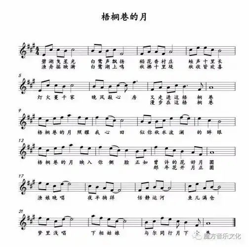 是我对美丽梧桐巷的深深眷恋,写的更是我对家乡快速发展的赞美抒怀