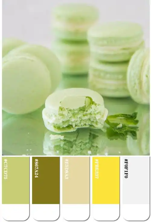 年度色彩2023年度最美的十个绿色配色