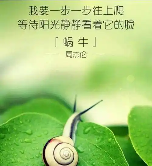 2022年最火正能量歌曲经典歌曲30首汇总_周杰伦_beyond_梦想