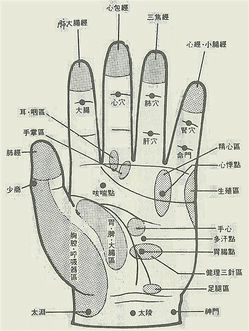 手部反射区图谱