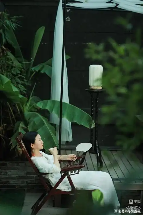 荷塘诗语,清凉的世界