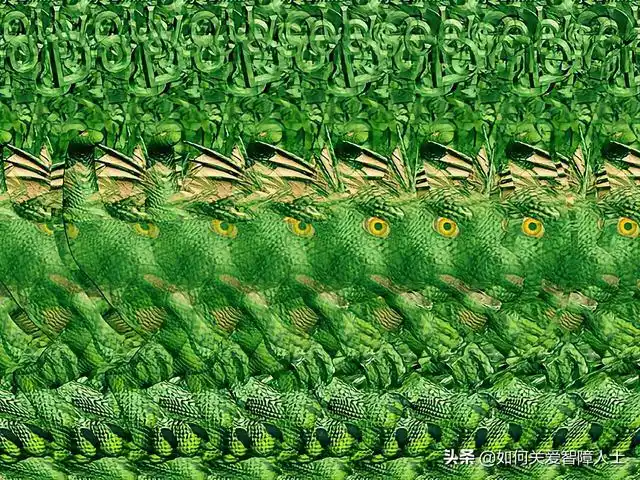 多姿多彩的三维立体图_网易订阅