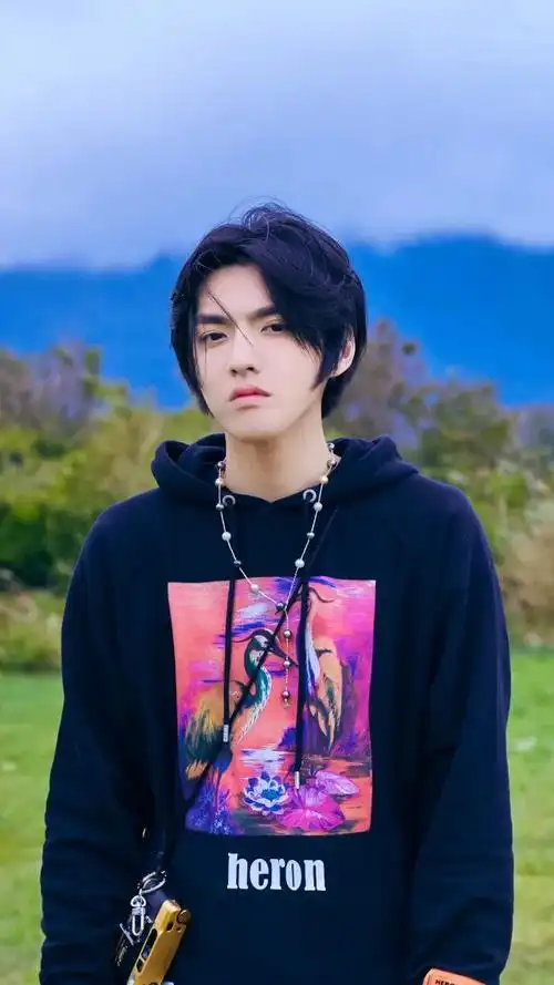 知情人士透露吴亦凡即将退居幕后,人设屡次崩塌,对粉丝很不负责-友友