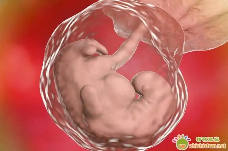 请问胎盘位于后壁,胎盘下缘距宫颈内口约3