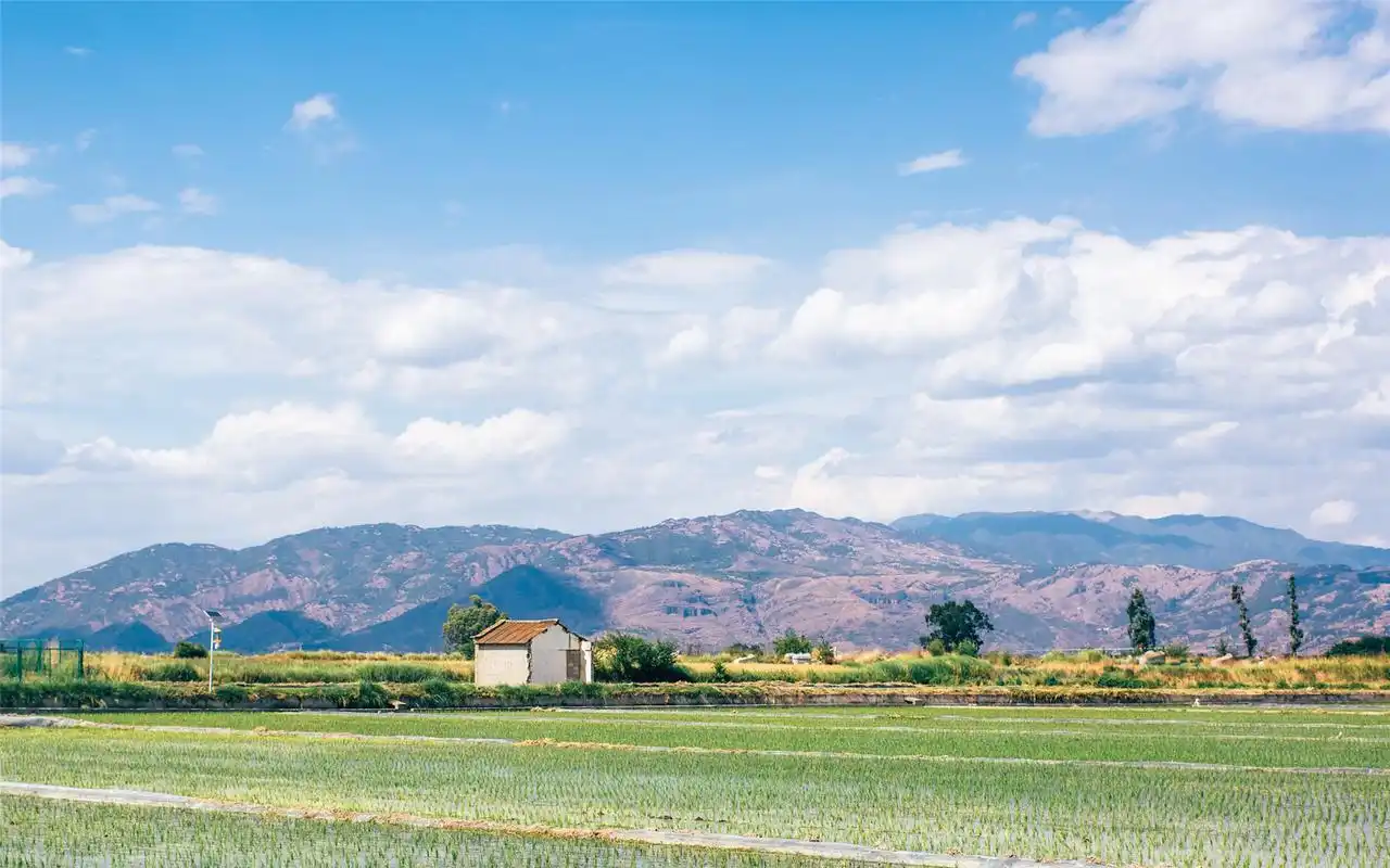 小清新美景高清桌面壁纸高清大图预览1920x1200_风景壁纸下载_美桌网