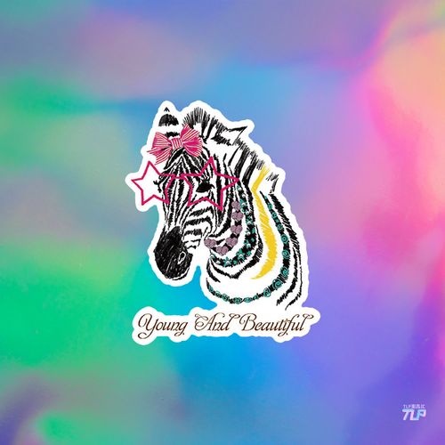 tlp反光车贴 派对party花环可爱斑马卡通动物形象贴纸风挡玻璃贴