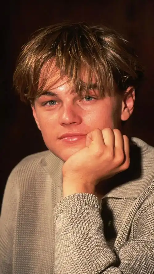 壁纸小李子莱昂纳多壁纸头像