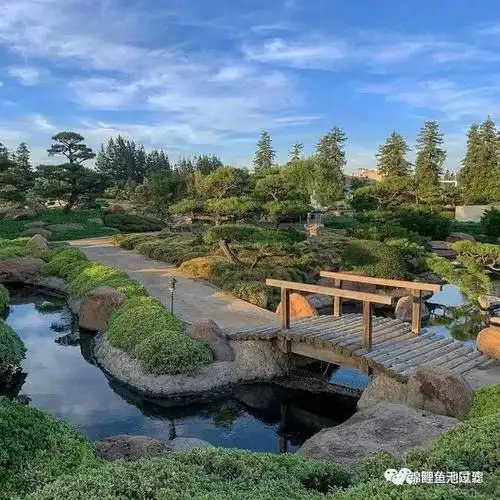 分享篇|| 常见的园林景观水系设计形式