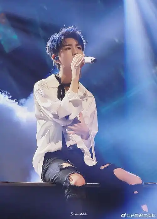 tfboys-王俊凯生日演唱会地址:石家庄奥体中心项目已经在筹备 期待