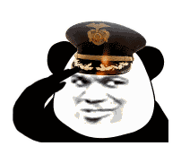 敬礼_表情包_斗图图片