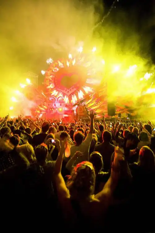 成年人,观众,舞台,竖图,俯视,室外,夜晚,夜生活,爆炸,荷兰,欢呼,许多