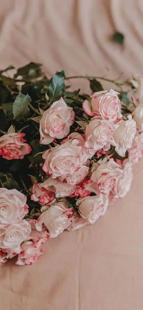 全面屏手机壁纸丨世上的事情都经不起推敲一推敲哪一件都藏着委屈