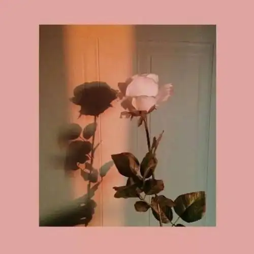 抖音热门微信朋友圈背景图