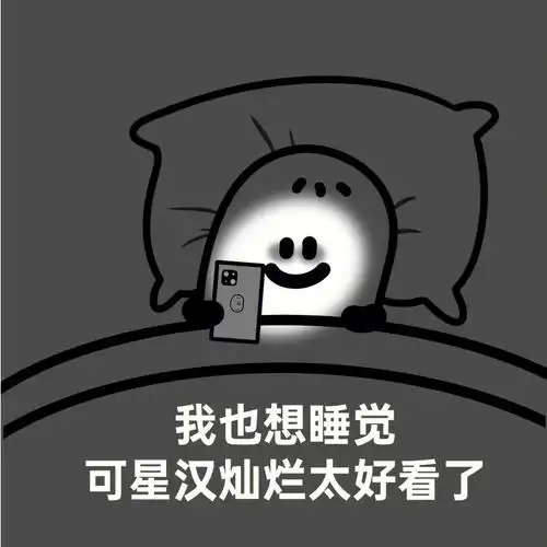 表情包:我也想睡觉,不知不觉这个点了星汉灿烂太好磕了o(*////▽////*