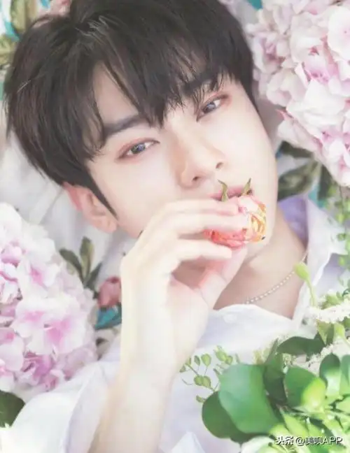 韩国帅哥排行榜韩国男团神颜top10