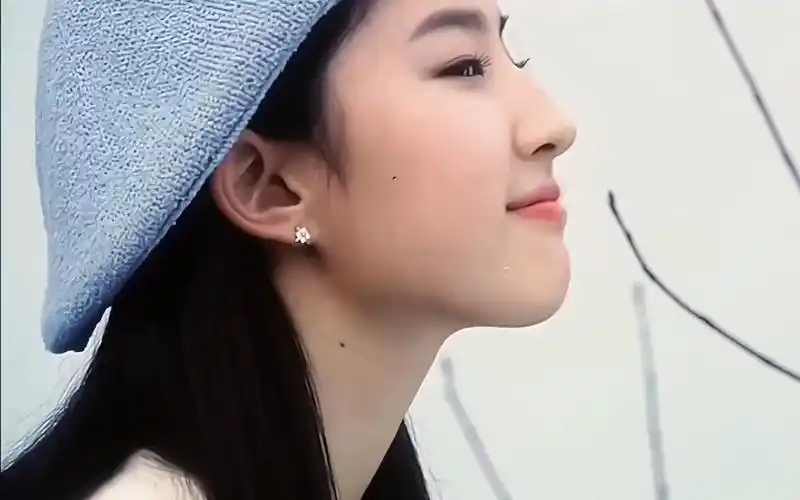 谁会拒绝16岁时奶呼呼的刘亦菲呢!