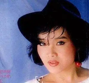 多少柔情多少泪(多少柔情多少泪林玉英)