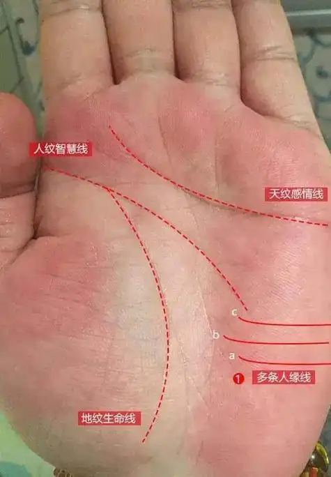 老祖宗遗留的精华这种手相人缘超好