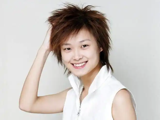 6位冠军现状:多人风光不再,有人落魄到开出租谋生 - 超女历届冠军