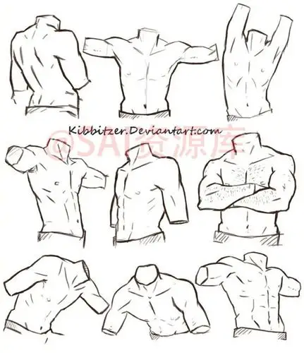原创设计秀# 男性人物躯干和背侧!不同角度的绘画参考,转需