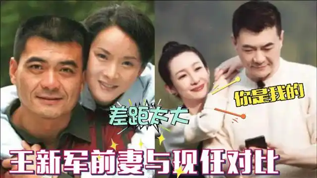 王新军两任妻子对比看看前妻唐静再看现任秦海璐差距一目了然