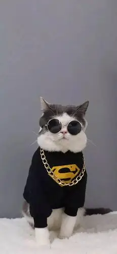 个性潮酷高清iphone壁纸