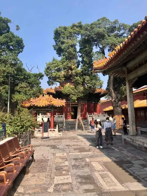 紫禁城建成600年展