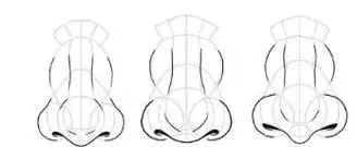 不同角度鼻子的画法,看这一篇就够了!