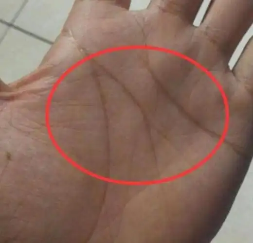 男人"手有金山,高不可攀"的手相,命中财运匪浅,生来高官命!