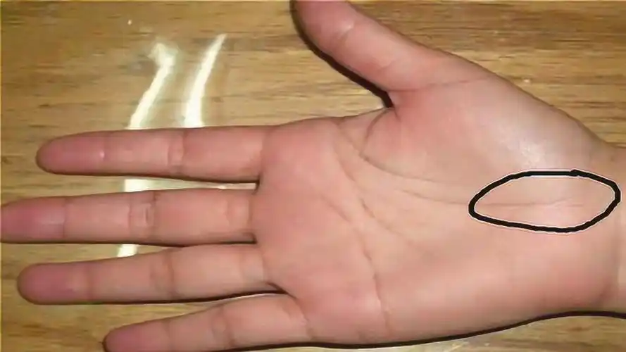 女人短命的手相特征若出现生命线倒钩要多多保重身体