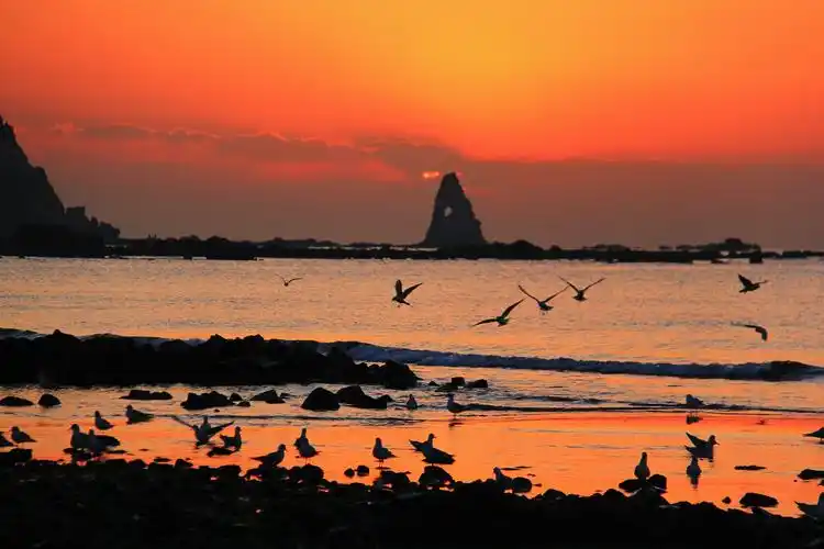 石老人原是居住在崂山脚下的一个勤劳善良的渔民,与聪明美丽的女儿