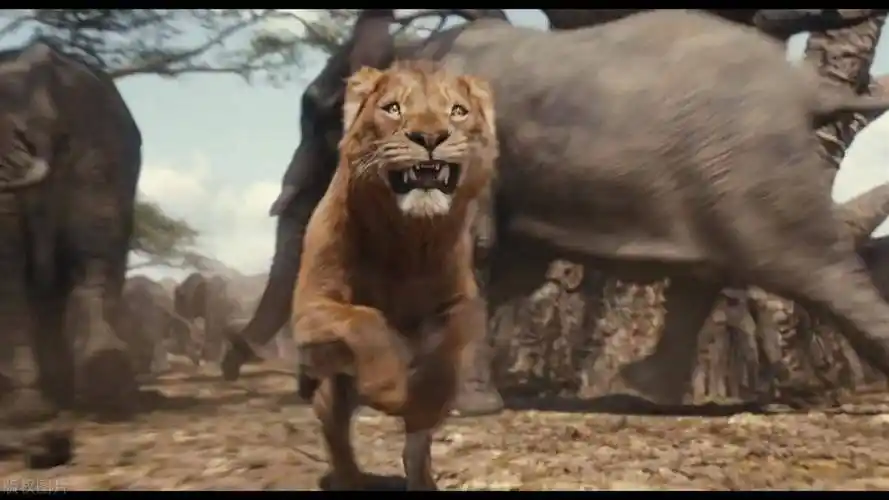 电影《 狮子王:木法沙传奇》深度解析