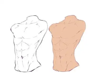 人体 手绘 教程 腹肌 男