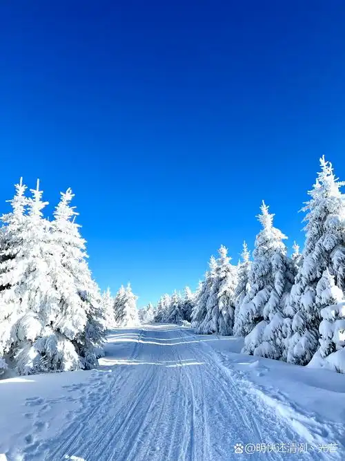 长白山的雪"长白山的雪,如诗如画,如梦如幻.