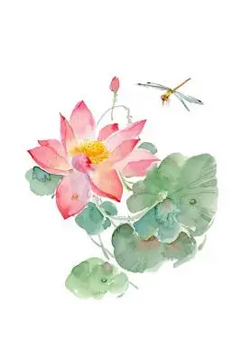 蜻蜓中国风夏季水墨荷花素材