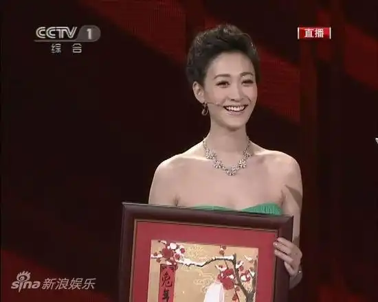 图文2011年央视春节晚会四美女之李小冉