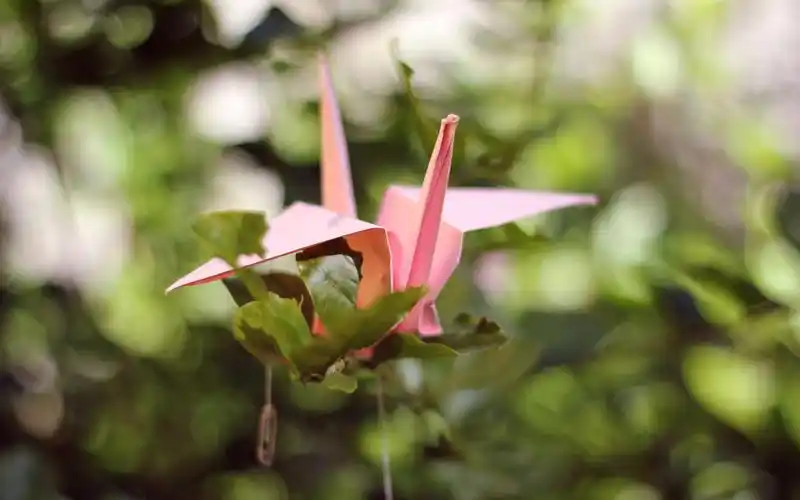 千纸鹤,千纸鹤壁纸,艺术壁纸-回车桌面