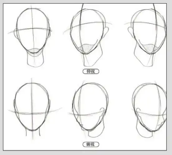 素描入门素描头像三庭五眼及骨骼结构