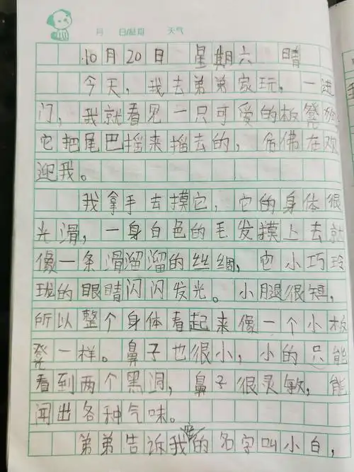 其它 四小三 1>班刘硕的日记 写美篇  其实写日记很简单的,不要把它想