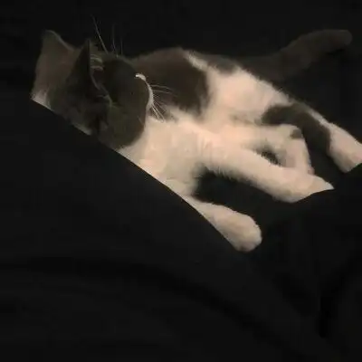 qq头像霸气黑色