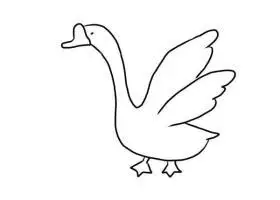 大白鹅简笔画图片大全 大白鹅简笔画图片大全可爱图片