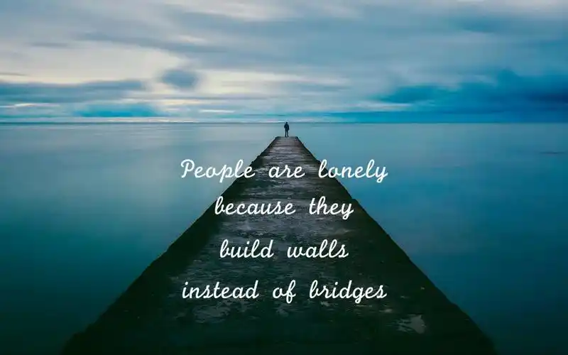 2019抖音短视频领域定位技巧抖音运营技巧定位养号制作引流教程