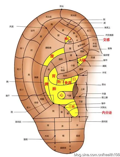 中医学上耳朵蜕皮是哪个内脏的病理反应