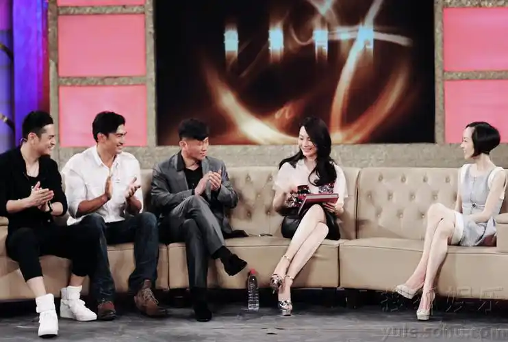 陈数做客《鲁豫有约》 畅聊被曝"半个中医"-娱乐频道图片库-大视野