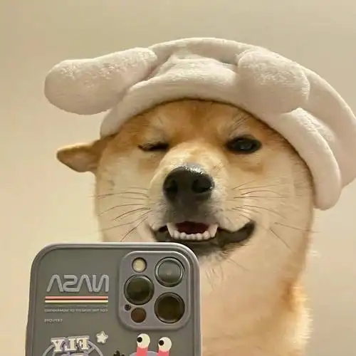 狗狗的自拍头像好可爱