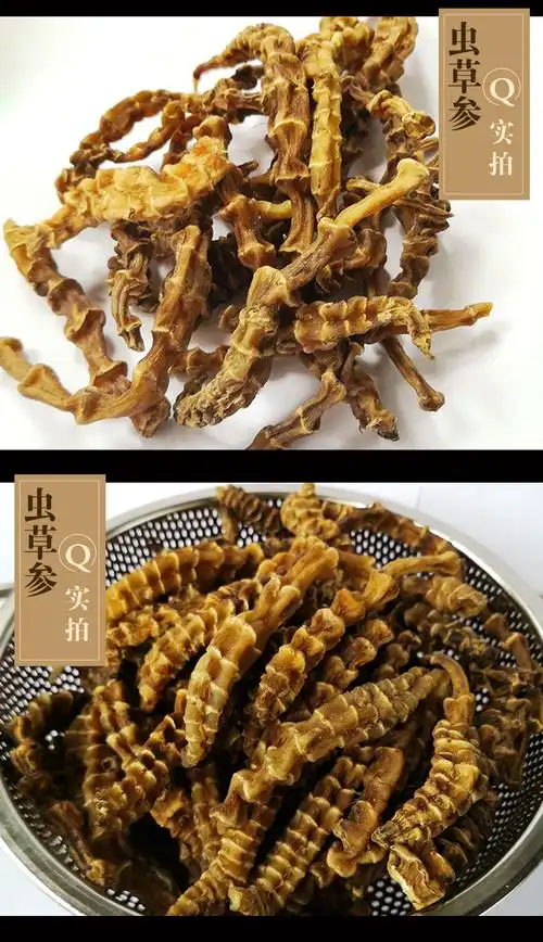 产地现货江湖地摊展销会云南地参散装粗条煲汤泡酒料虫草参泽兰根