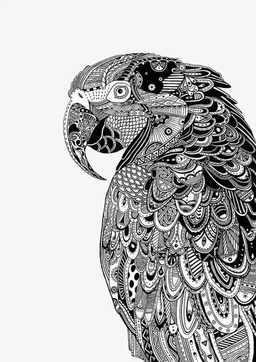 老鹰黑白装饰画